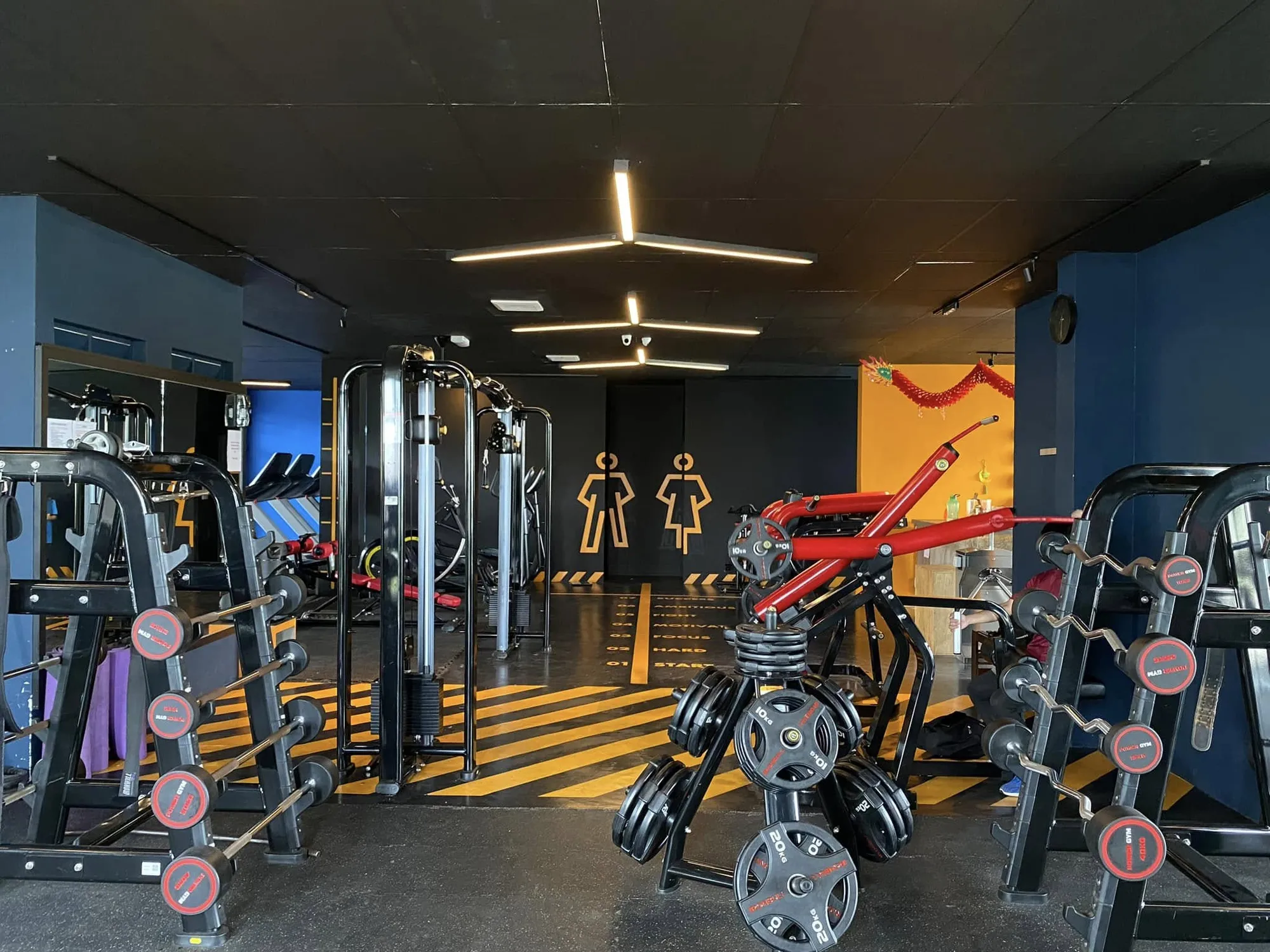 Racked barbells and Power Gym branded plates in the foreground